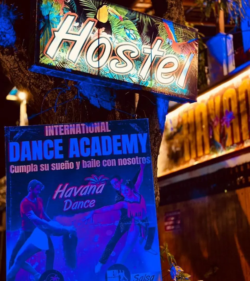 Havana Hostel Cali & Dance School
